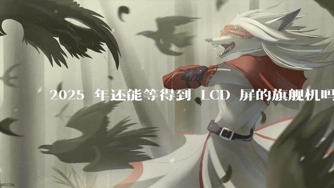 2025 年还能等得到 LCD 屏的旗舰机吗？