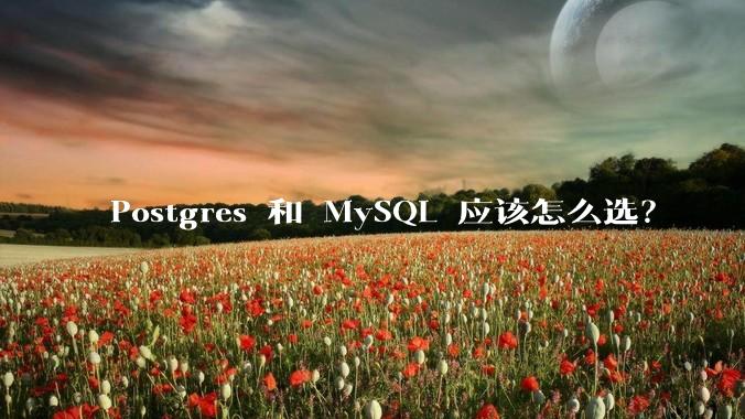Postgres 和 MySQL 应该怎么选？