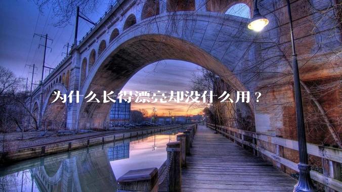 为什么长得漂亮却没什么用?